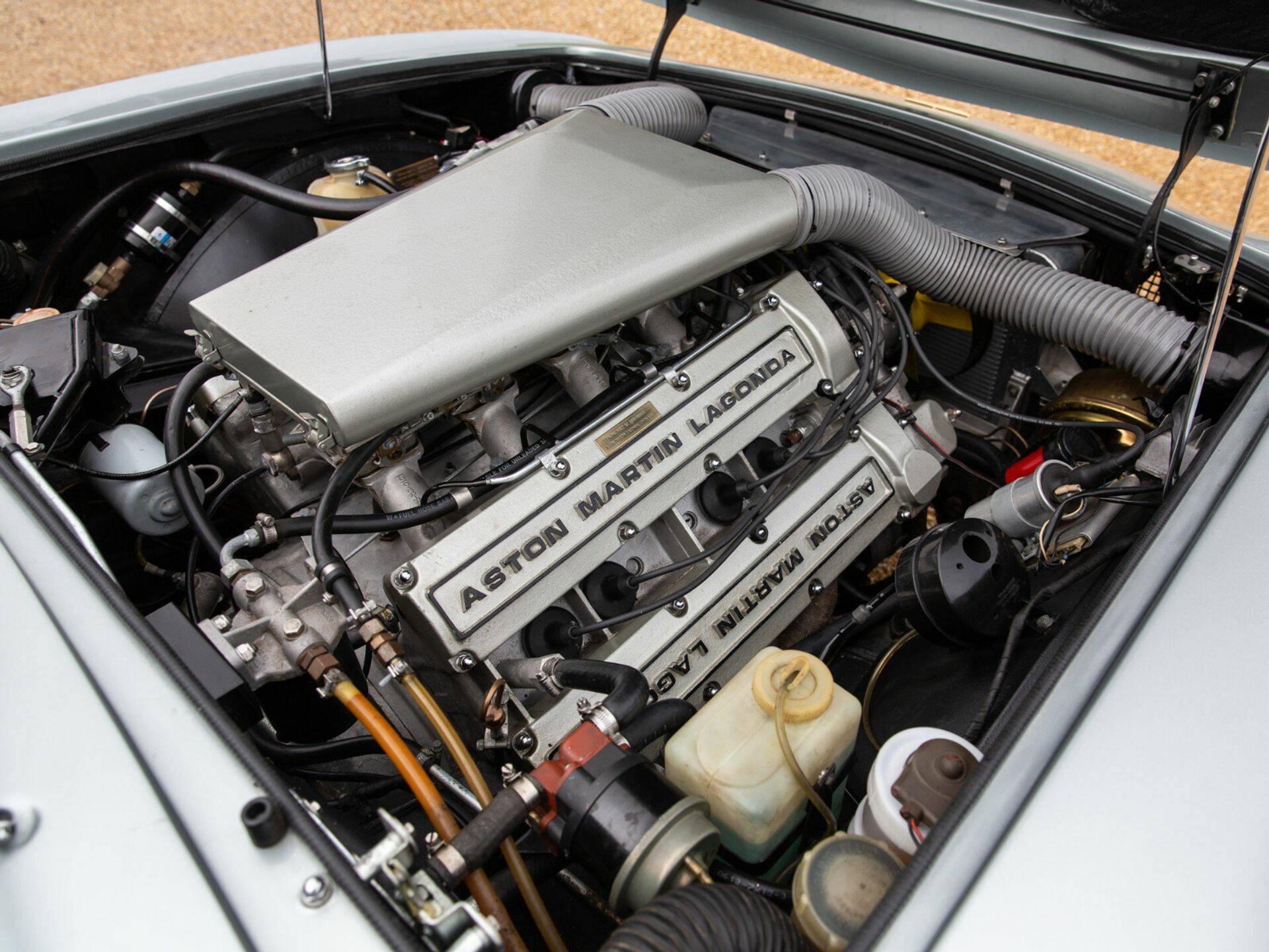 AM V8